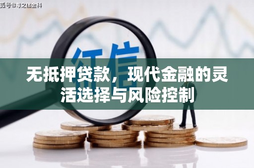 双河无抵押贷款，现代金融的灵活选择与风险控制
