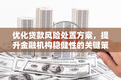 双河优化贷款风险处置方案，提升金融机构稳健性的关键策略