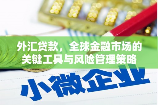 双河外汇贷款，全球金融市场的关键工具与风险管理策略
