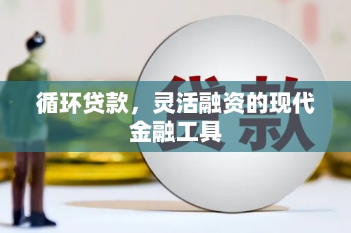 双河循环贷款，灵活融资的现代金融工具