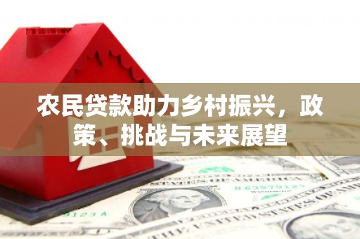 双河农民贷款助力乡村振兴，政策、挑战与未来展望