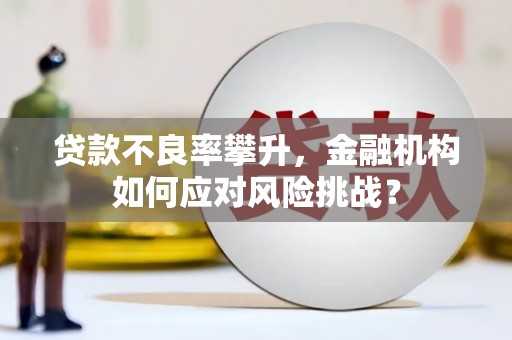 双河贷款不良率攀升，金融机构如何应对风险挑战？