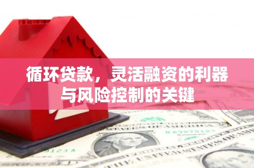 双河循环贷款，灵活融资的利器与风险控制的关键