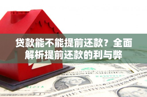 双河贷款能不能提前还款？全面解析提前还款的利与弊