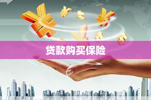 双河贷款购买保险