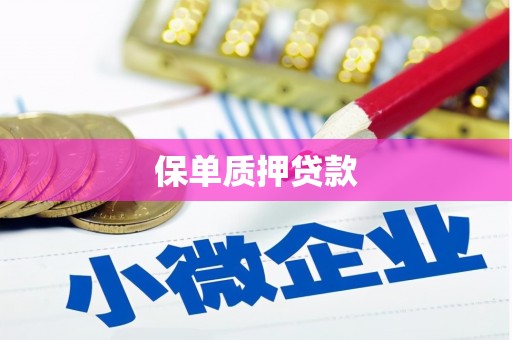 双河保单质押贷款