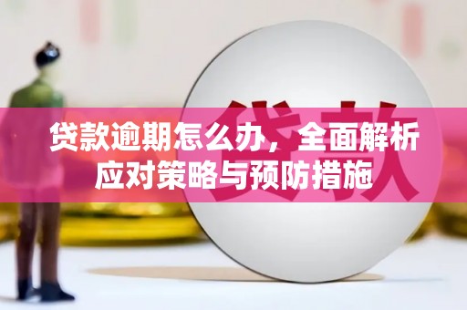 双河贷款逾期怎么办，全面解析应对策略与预防措施