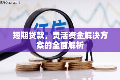 双河短期贷款，灵活资金解决方案的全面解析