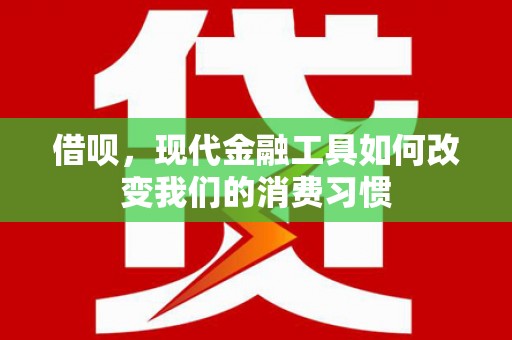 双河借呗，现代金融工具如何改变我们的消费习惯