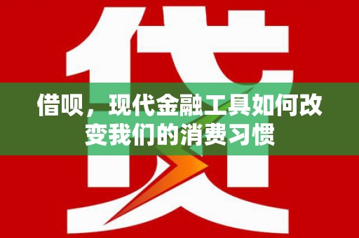 双河借呗，现代金融工具如何改变我们的消费习惯