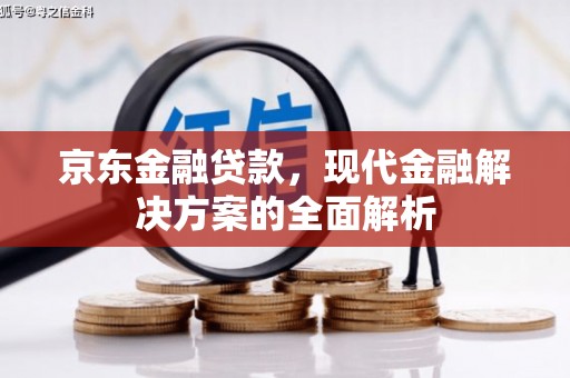 双河京东金融贷款，现代金融解决方案的全面解析