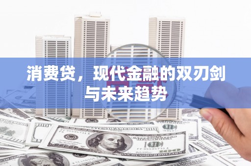 双河消费贷，现代金融的双刃剑与未来趋势