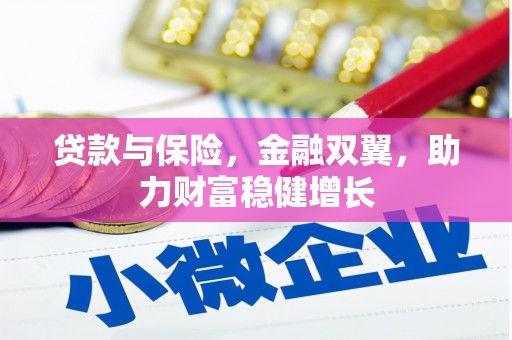 双河贷款与保险，金融双翼，助力财富稳健增长