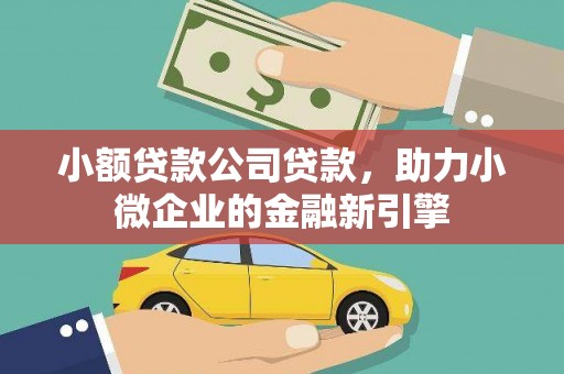 双河小额贷款公司贷款，助力小微企业的金融新引擎