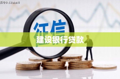 双河建设银行贷款