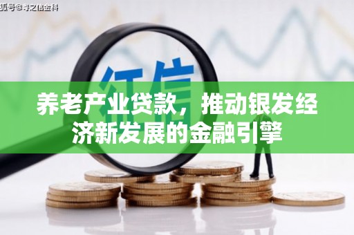 双河养老产业贷款，推动银发经济新发展的金融引擎