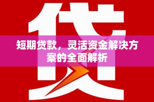 双河短期贷款，灵活资金解决方案的全面解析