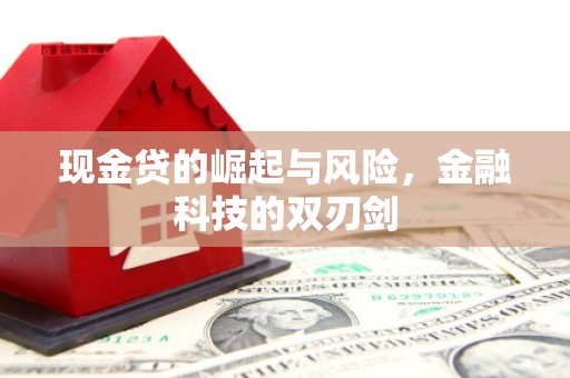 双河现金贷的崛起与风险，金融科技的双刃剑