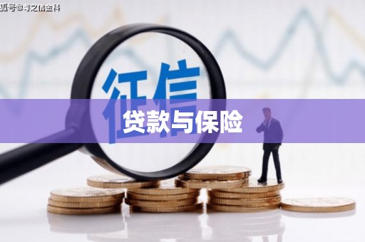 双河贷款与保险
