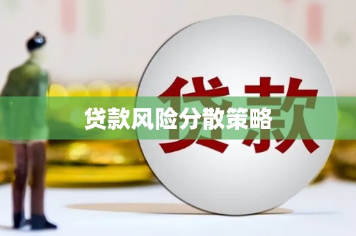 双河贷款风险分散策略