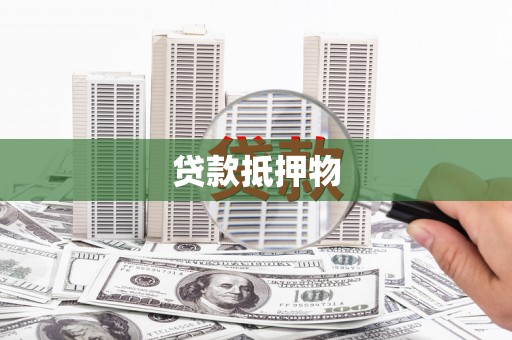 双河贷款抵押物