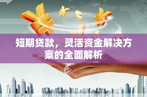 双河短期贷款，灵活资金解决方案的全面解析