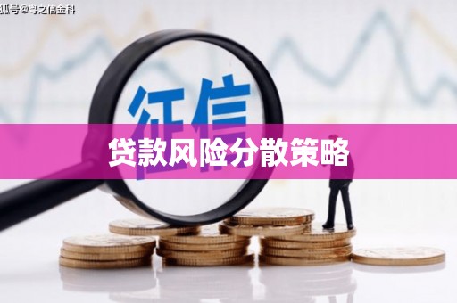 双河贷款风险分散策略