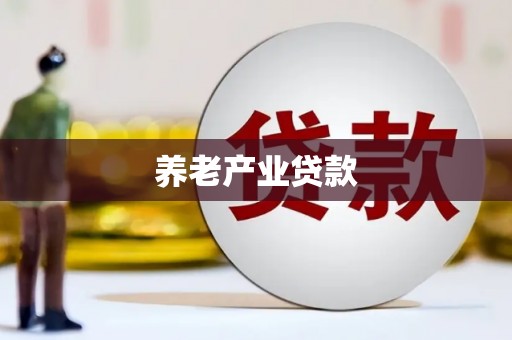 双河养老产业贷款