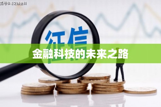 双河金融科技的未来之路
