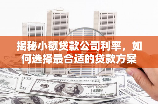 双河揭秘小额贷款公司利率，如何选择最合适的贷款方案