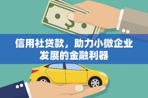 双河信用社贷款，助力小微企业发展的金融利器