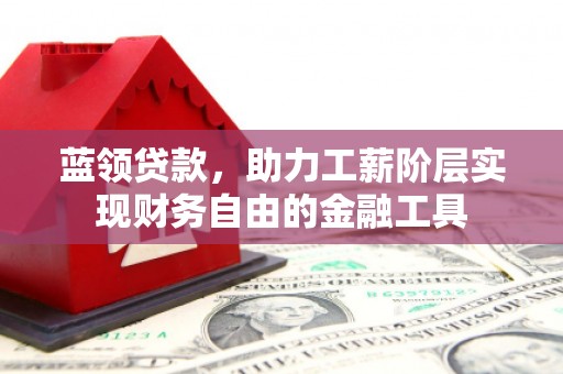 双河蓝领贷款，助力工薪阶层实现财务自由的金融工具