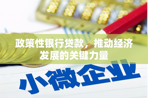双河政策性银行贷款，推动经济发展的关键力量