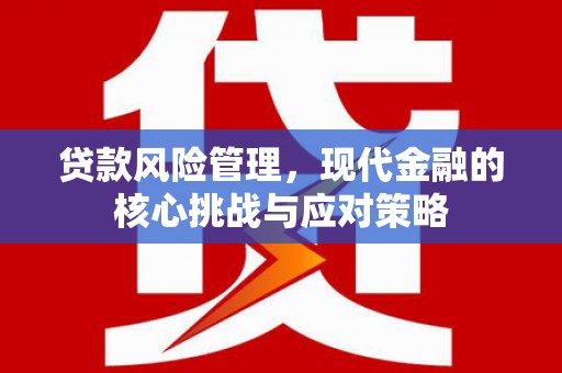 双河贷款风险管理，现代金融的核心挑战与应对策略