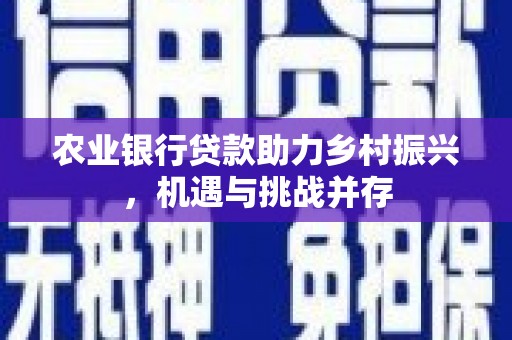 双河农业银行贷款助力乡村振兴，机遇与挑战并存