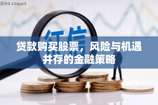 双河贷款购买股票，风险与机遇并存的金融策略