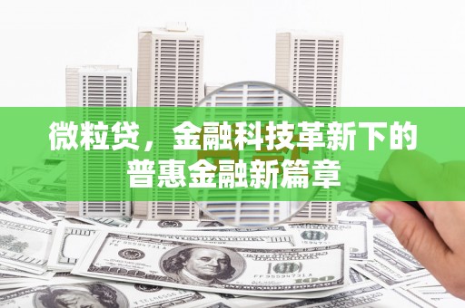 双河微粒贷，金融科技革新下的普惠金融新篇章