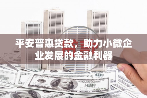 双河平安普惠贷款，助力小微企业发展的金融利器