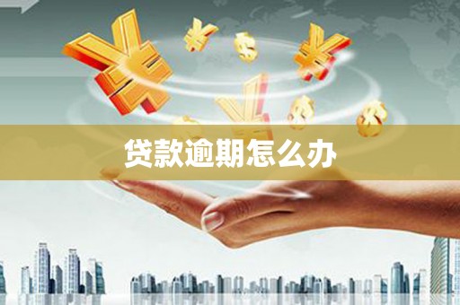 双河贷款逾期怎么办