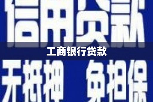 双河工商银行贷款