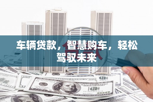 双河车辆贷款，智慧购车，轻松驾驭未来