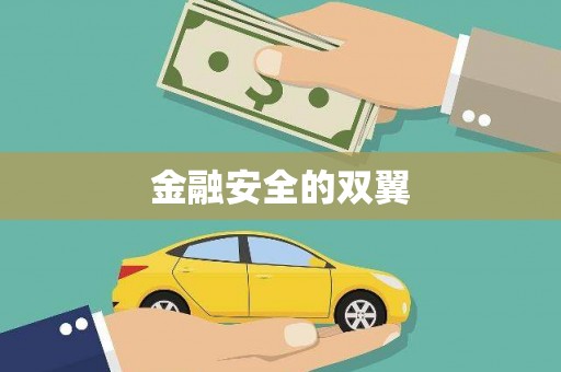 双河金融安全的双翼