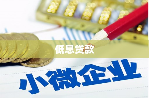 双河低息贷款