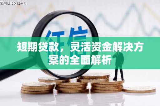 双河短期贷款，灵活资金解决方案的全面解析