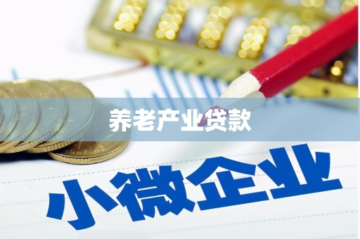 双河养老产业贷款