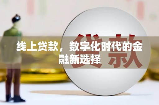 双河线上贷款，数字化时代的金融新选择