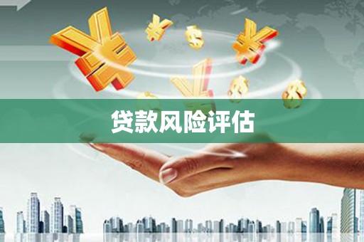 双河贷款风险评估