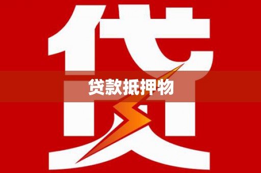 双河贷款抵押物