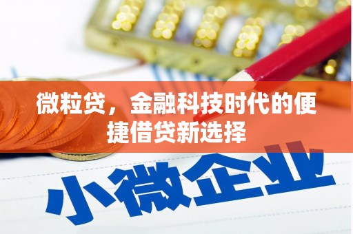 双河微粒贷，金融科技时代的便捷借贷新选择