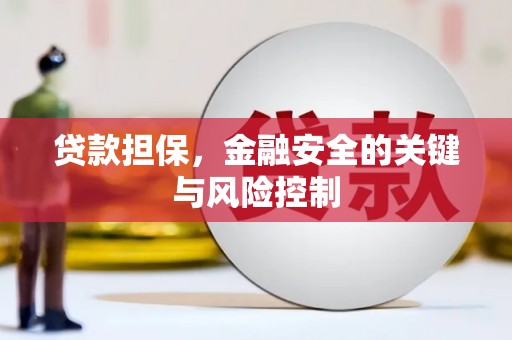 双河贷款担保，金融安全的关键与风险控制